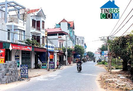 Hình ảnh Vũ Thư, Hưng Yên