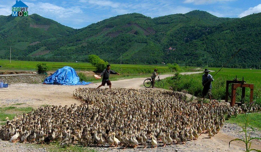 Hình ảnh Diên Khánh, Khánh Hòa