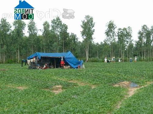 Hình ảnh Diên Lạc, Khánh Hòa