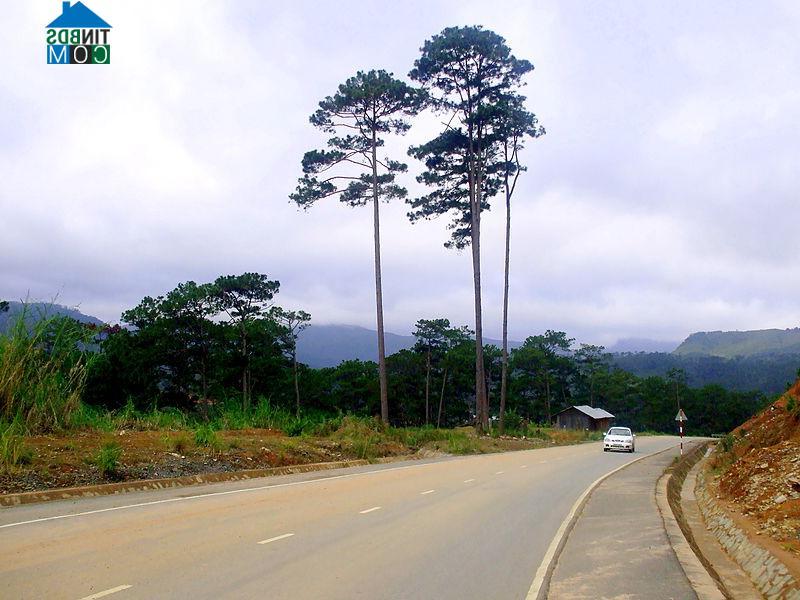 Hình ảnh Nam Khánh Vĩnh, Khánh Hòa