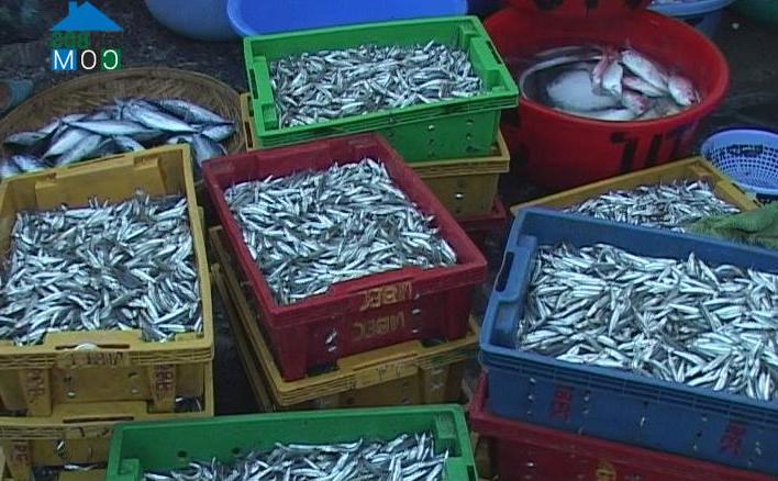 Hình ảnh Nam Nha Trang, Khánh Hòa