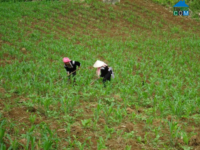 Hình ảnh Tả Lèng, Lai Châu