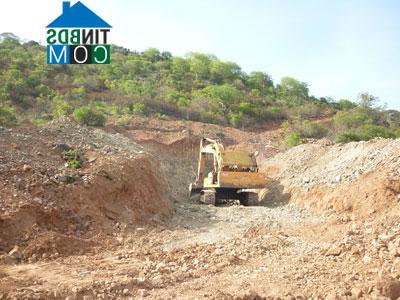 Hình ảnh Liên Hương, Lâm Đồng