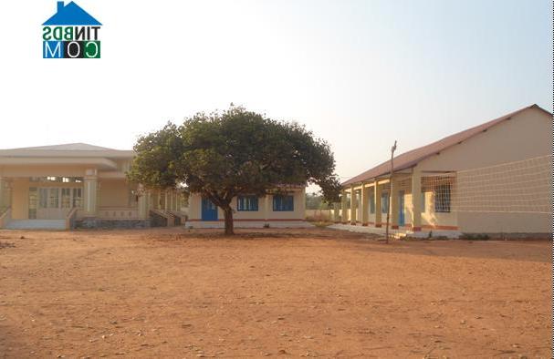 Hình ảnh Nam Thành, Lâm Đồng