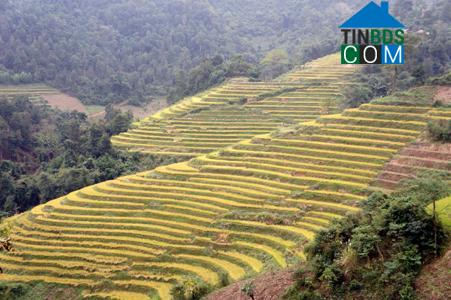 Hình ảnh Công Sơn, Lạng Sơn