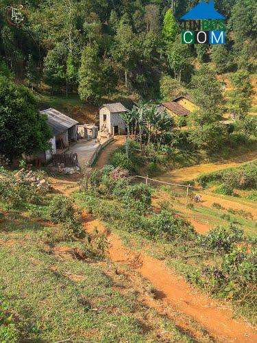 Hình ảnh Tân Đoàn, Lạng Sơn