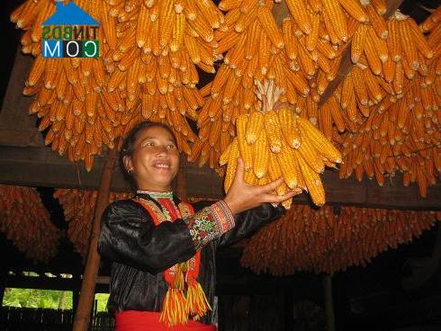 Hình ảnh Lâm Thượng, Lào Cai