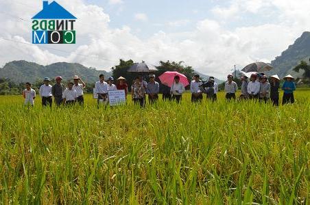 Hình ảnh Lục Yên, Lào Cai