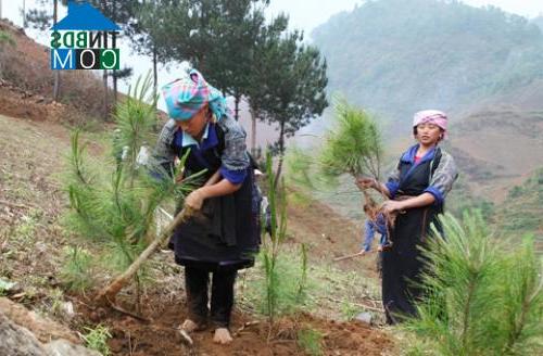 Hình ảnh Gia Hội, Lào Cai