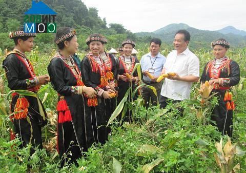 Hình ảnh Tân Lĩnh, Lào Cai