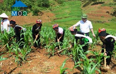 Hình ảnh Nghĩa Lộ, Lào Cai