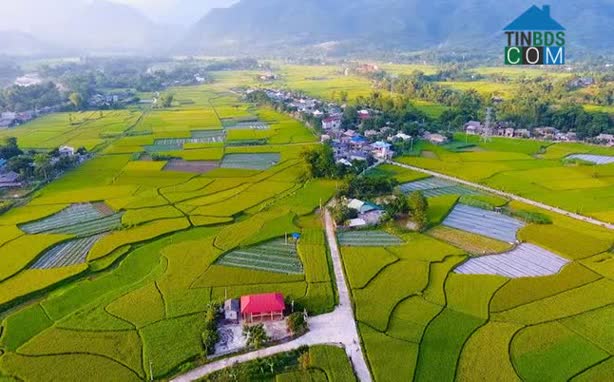 Hình ảnh Trung Tâm, Lào Cai