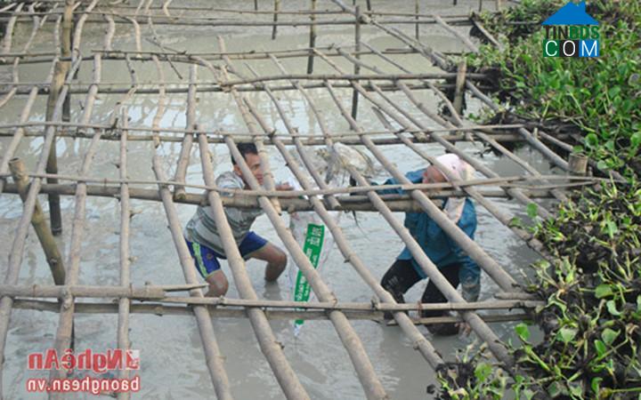 Hình ảnh Yên Thành, Nghệ An