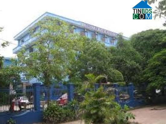 Hình ảnh Cửa Lò, Nghệ An