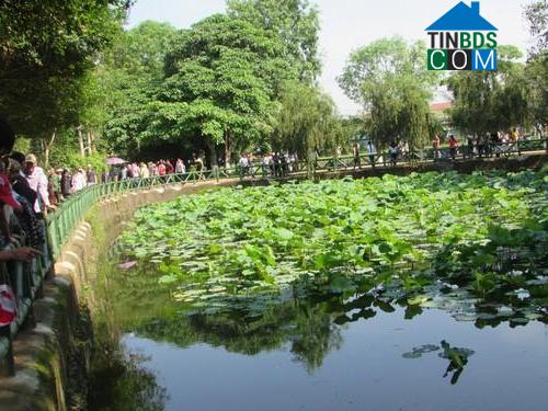 Hình ảnh Kim Liên, Nghệ An