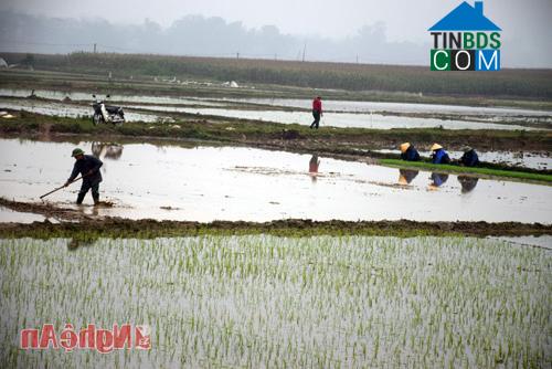 Hình ảnh Lương Sơn, Nghệ An