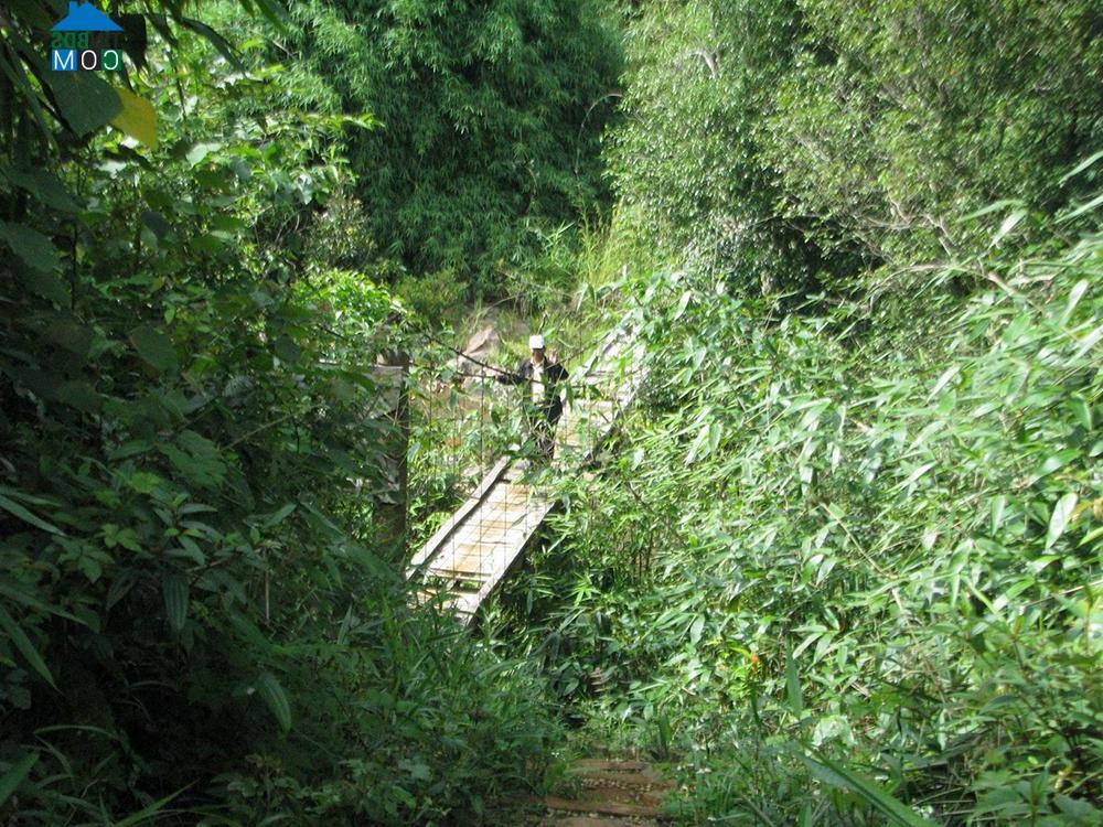 Hình ảnh Măng Ri, Quảng Ngãi