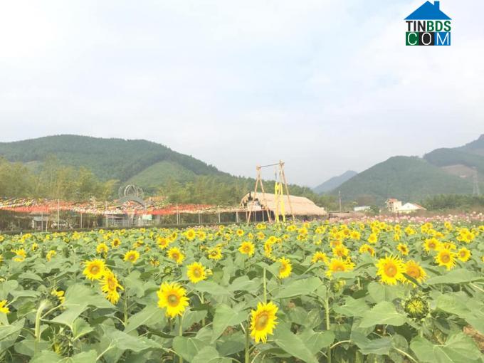 Hình ảnh Quảng La, Quảng Ninh