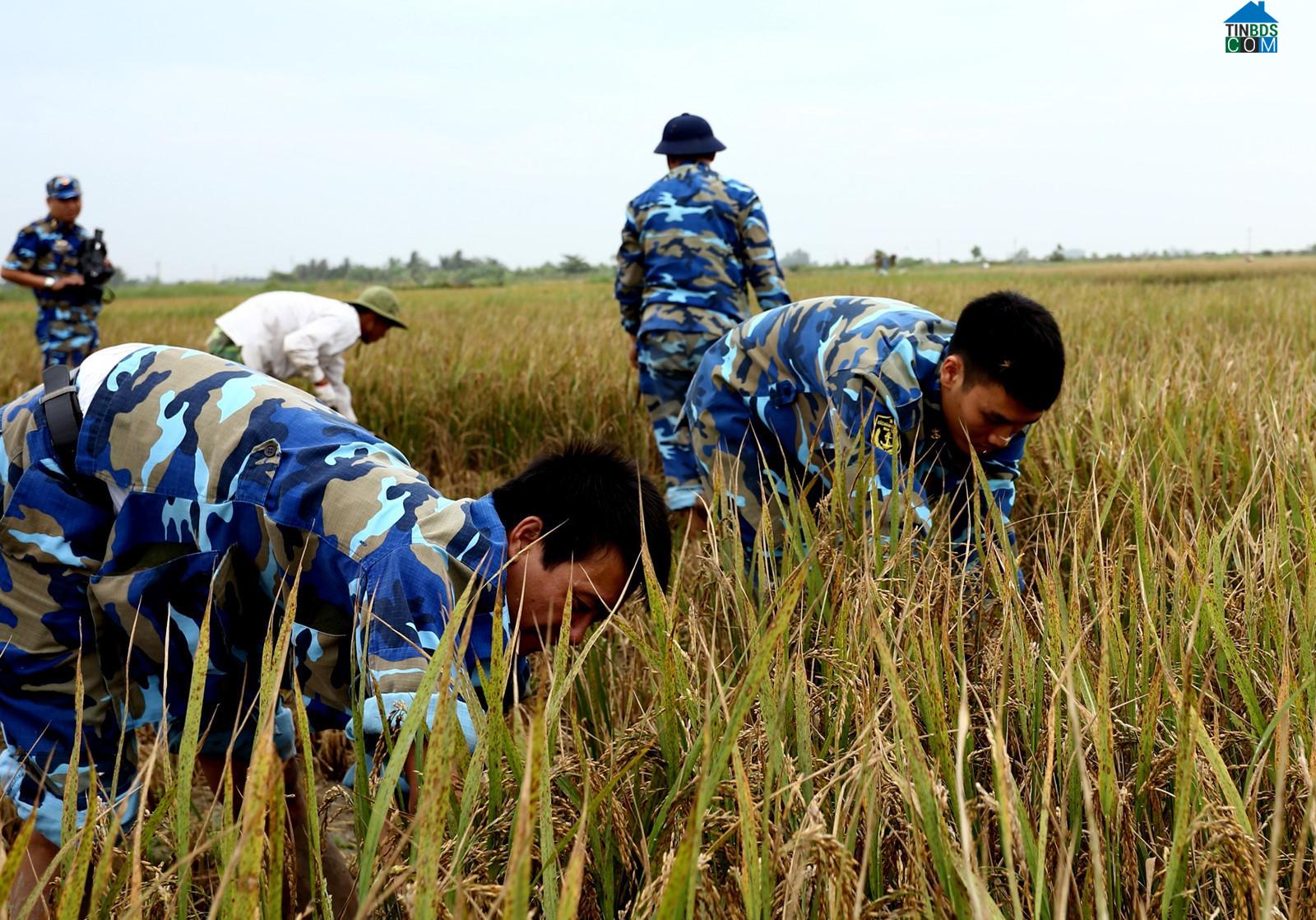 Hình ảnh Liên Hòa, Quảng Ninh