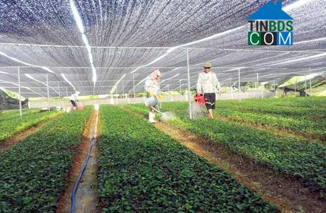 Hình ảnh Quảng Hà, Quảng Ninh