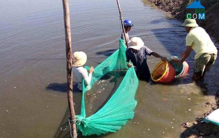 Hình ảnh Ba Đồn, Quảng Trị