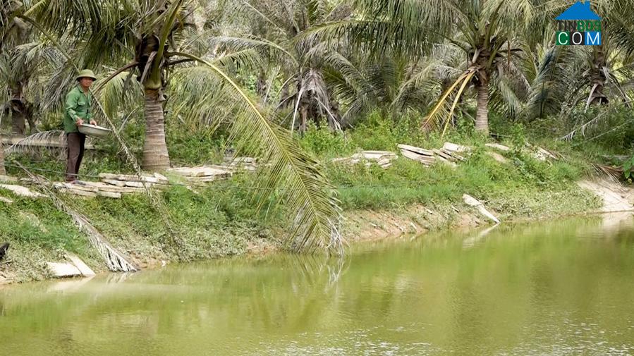 Hình ảnh Nam Ba Đồn, Quảng Trị