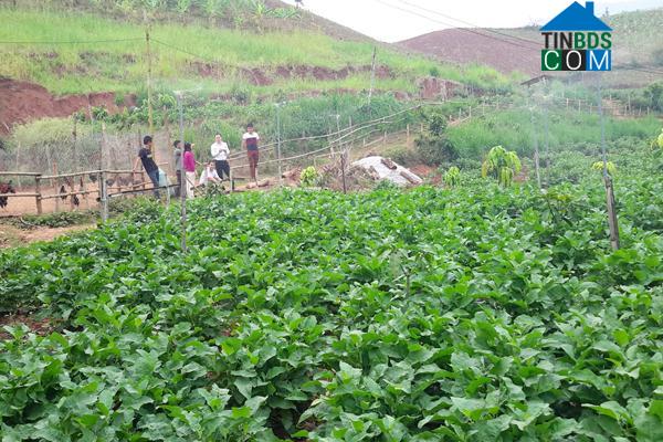 Hình ảnh Yên Châu, Sơn La