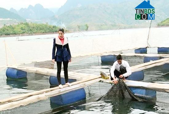 Hình ảnh Quỳnh Nhai, Sơn La