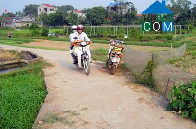 Hình ảnh Phú Bình, Thái Nguyên