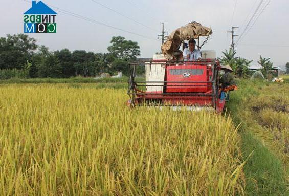 Hình ảnh An Khánh, Thái Nguyên