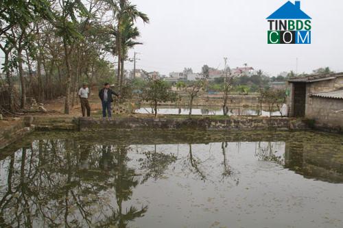 Hình ảnh Đông Quang, Thanh Hóa