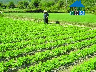 Hình ảnh Hoằng Giang, Thanh Hóa