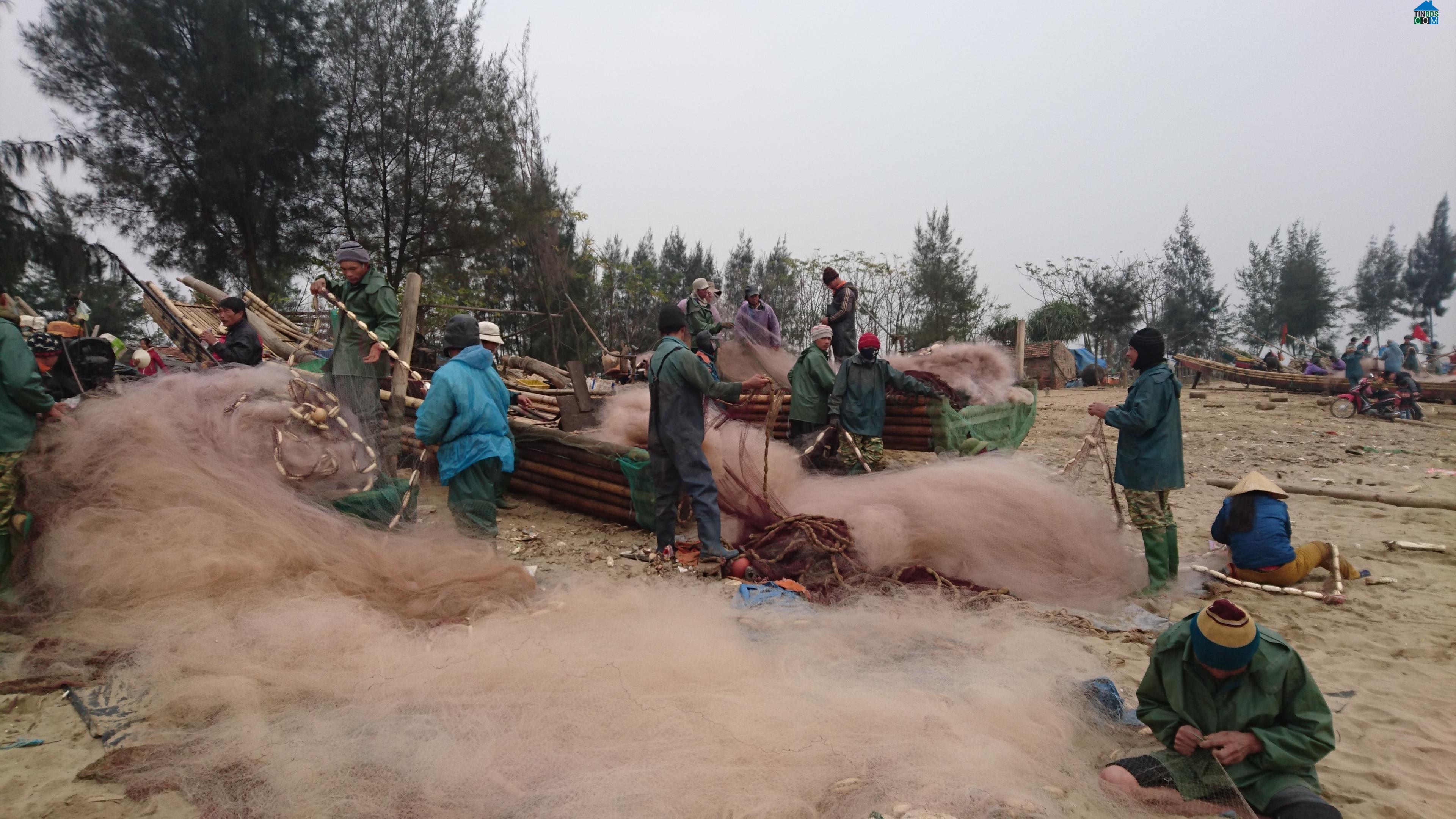 Hình ảnh Hoằng Thanh, Thanh Hóa