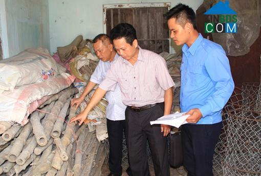 Hình ảnh Nga Thắng, Thanh Hóa