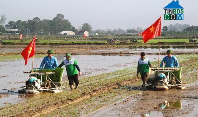Hình ảnh Xuân Hòa, Thanh Hóa