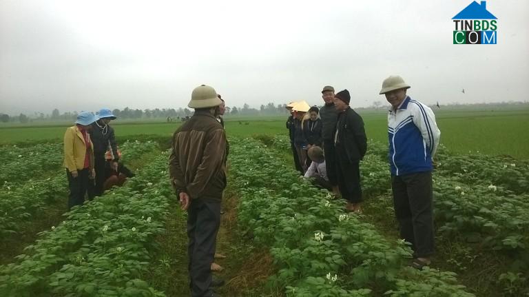 Hình ảnh Thiệu Quang, Thanh Hóa