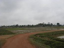 Hình ảnh Thọ Phú, Thanh Hóa