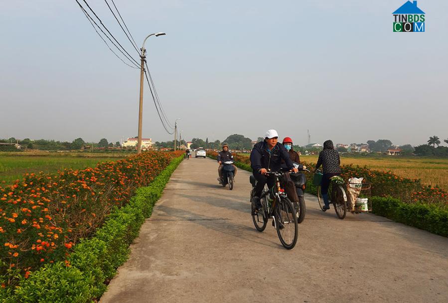 Hình ảnh Phù Đổng, Hà Nội