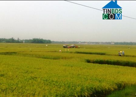 Hình ảnh Điện Bàn Đông, Đà Nẵng