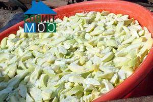 Hình ảnh Cù Lao Giêng, An Giang