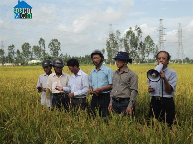 Hình ảnh Tân Hiệp, An Giang