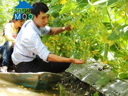 Hình ảnh Giồng Riềng, An Giang