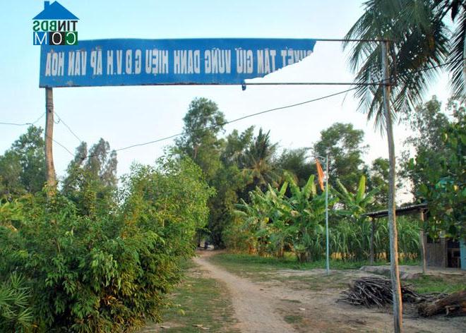 Hình ảnh U Minh, Cà Mau