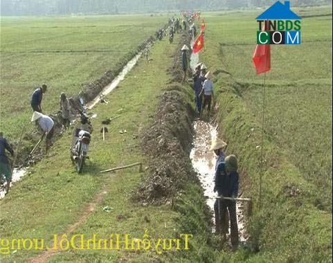 Hình ảnh Thuần Trung, Nghệ An