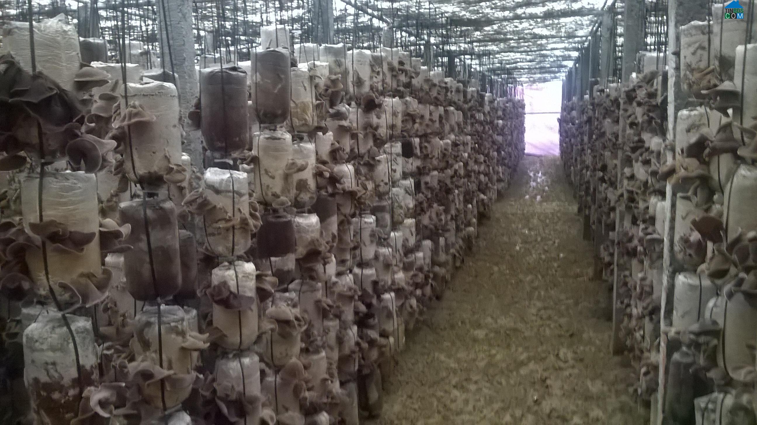 Hình ảnh Văn Hiến, Nghệ An