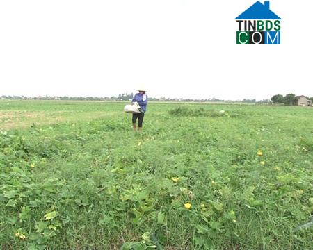 Hình ảnh Yên Khánh, Ninh Bình