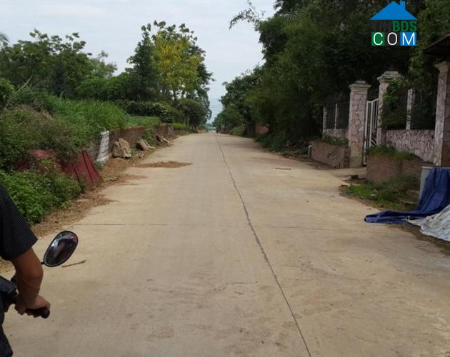 Hình ảnh Lương Sơn, Phú Thọ