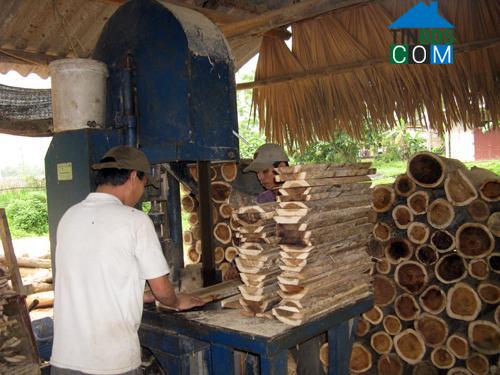 Hình ảnh Thanh Sơn, Phú Thọ