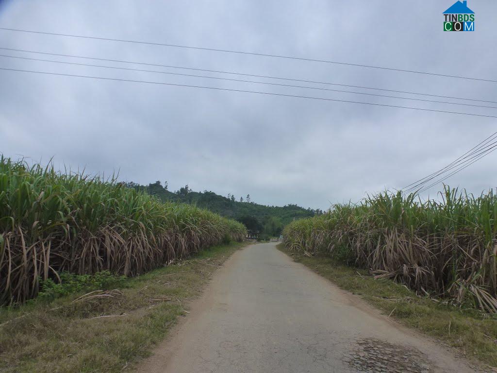 Hình ảnh Đức Phổ, Quảng Ngãi