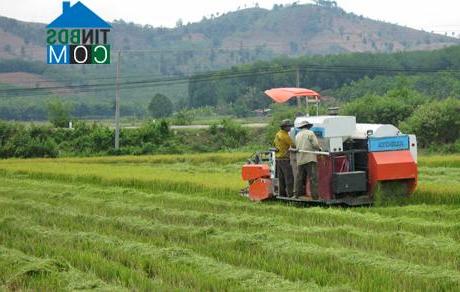 Hình ảnh Đăk Hà, Quảng Ngãi